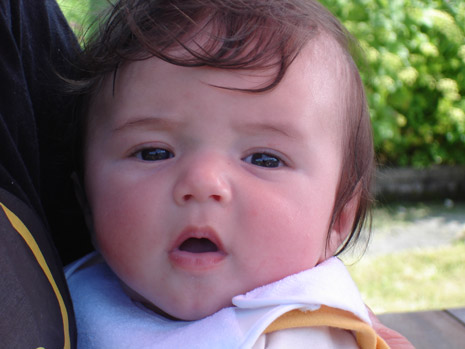 photo2